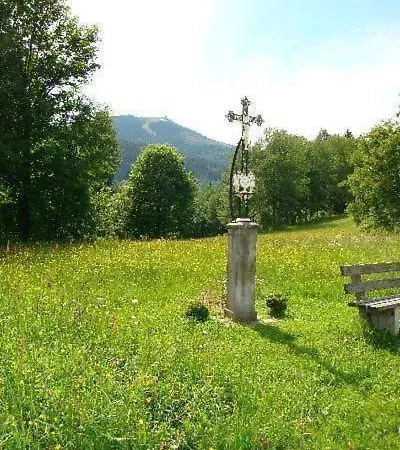 Appartement In Mit Garten *