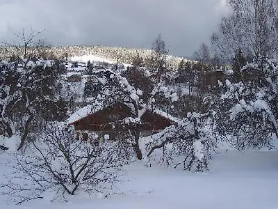 In Mit Garten Bayerisch Eisenstein
